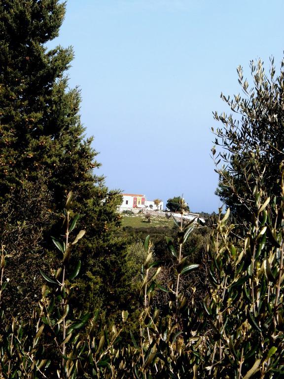Trullo Villa Giuliana Con Giardino Posizione Panoramica Free Wifi Ostuni Habitación foto